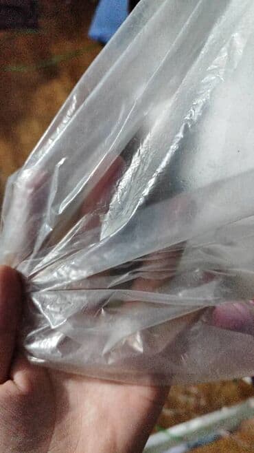 Пластик кабыл алуу