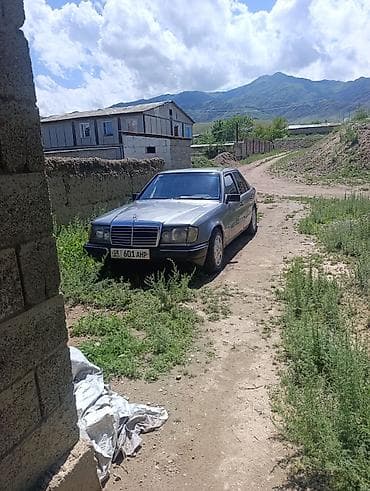 Mercedes-Benz W124: 1991 г., 2.3 л, Механика, Бензин, Седан
