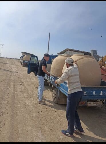 очок фото: Тандырлар 6 жылдан ашык тажрыйба — 5