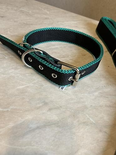 german shepherd: Комплект ошейник+поводок для крупных собак. Амуниция из нейлона — 9