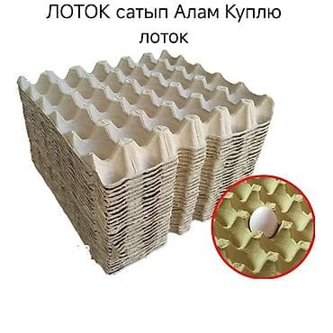 лоток яиц: Ящик — 2