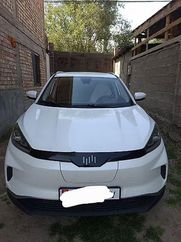 smart open: Weltmeister EX5, 2020 г. — 2