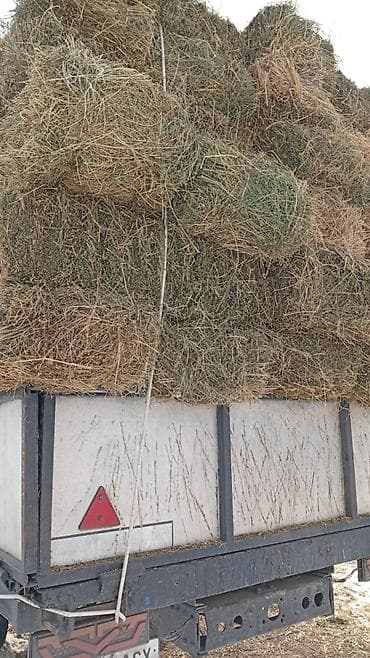 кара балта торпок: Либой количества туки продайом саман беде чоп — 7