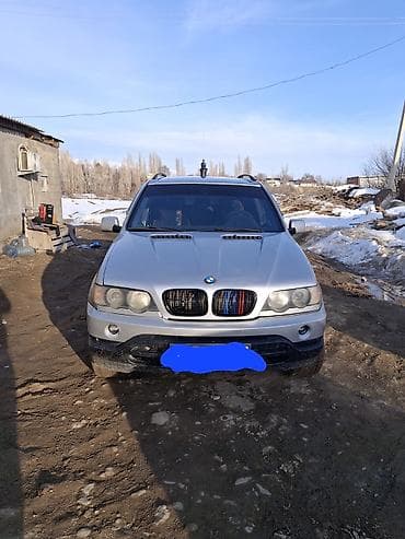 srv 2: BMW X5: 2002 г., 4.4 л, Автомат, Бензин, Кроссовер — 1
