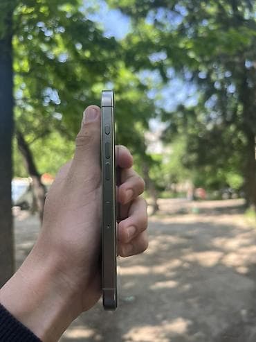 apple 5: IPhone 15 Pro, Natural Titanium, 88 % — 4