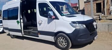 путешествие к рождественской звезде: Туристические услуги — 11