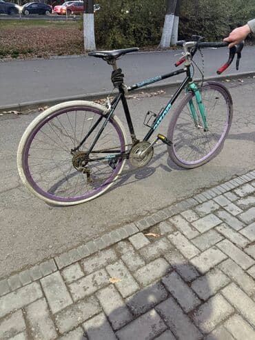 сколько стоят велосипеды в бишкеке: Горный велосипед, Galaxy, Рама M (156 - 178 см), Алюминий — 6