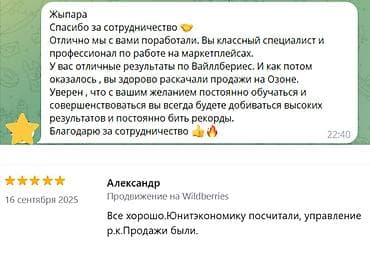 Работа: Менеджер Wildberries / Ozon — увеличу прибыль, а не расходы. Вы уже — 9