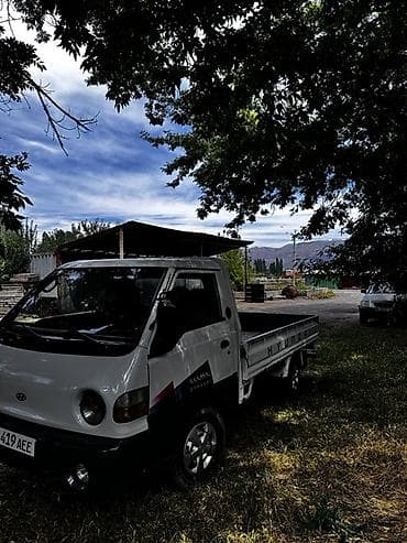 будка ремонт: Легкий грузовик, Hyundai, Стандарт, Б/у — 2