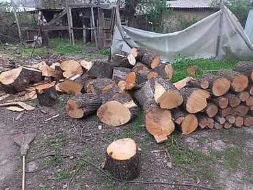 козлу кой: Дрова Самовывоз — 2