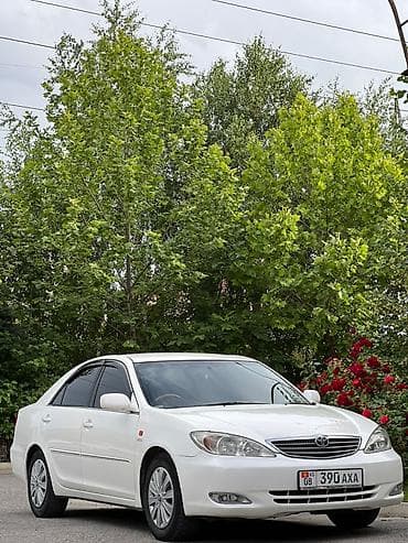 камри 1988: Toyota Camry: 2003 г., 3 л, Автомат, Бензин, Седан — 1