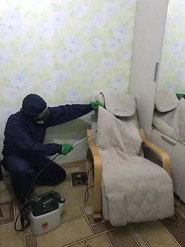 2 gr: Уничтожение Тараканов Клопов — 4