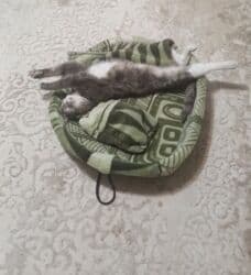 ремонт посудомоечных машин бишкек: Индивидуальный пошив | Постельное белье — 24