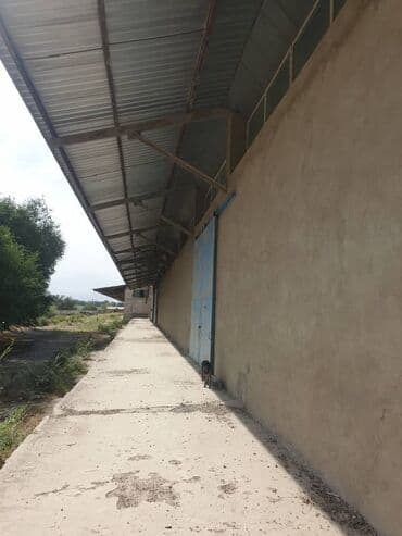 земельный участок производственного назначения: Срочно !!! продаю складские помещения площадью 10 000 м2 . Участок — 1