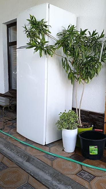deepcool pf: Холодильник Bosch, двухкамерный, белый, с верхней морозильной камерой — 1