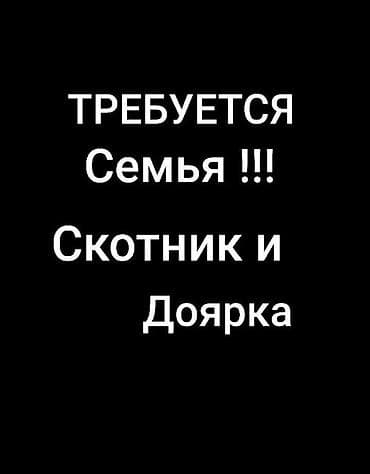 токарь вакансии: Вакансия: семейная пара — скотник и доярка Ищем семью для работы на — 1