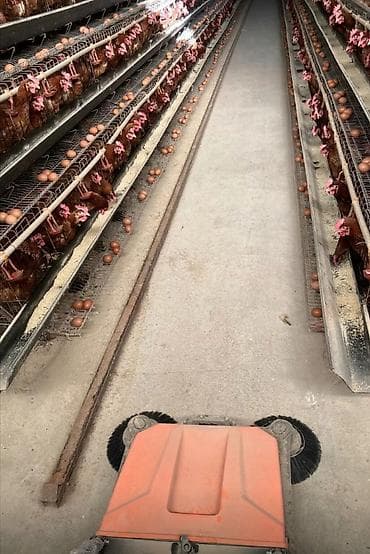 Курулуш жабдуулары: Подметальная машина — 4