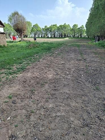 продажа квартир в бишкеке с фото: 60 соток, Красная книга, Тех паспорт — 10