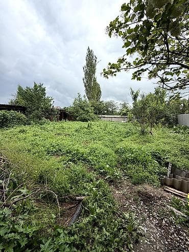 дом пр: Продается уютный дом в Гавриловке Дом расположен в хорошем месте — 5