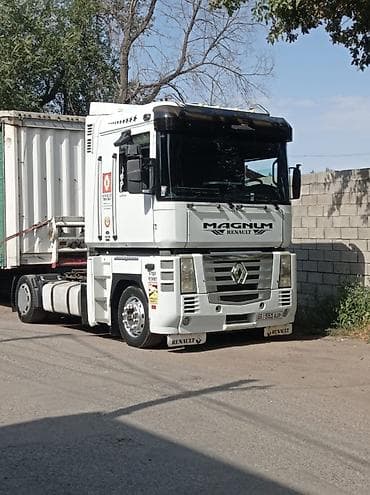 daf 480: Тягач, Renault, 2008 г., Тентованный — 1