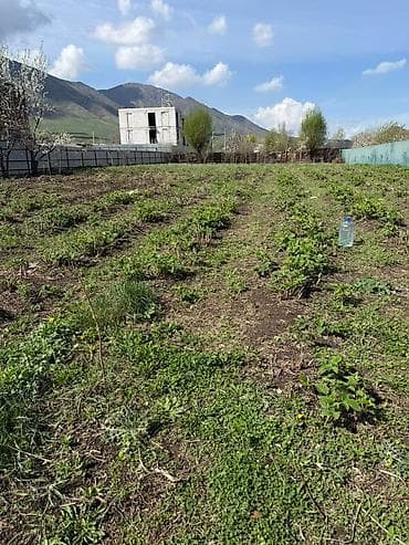 светлая поляна: 15 соток, Для сельского хозяйства, Красная книга — 3