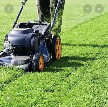 Уборка территории, Стрижка газона