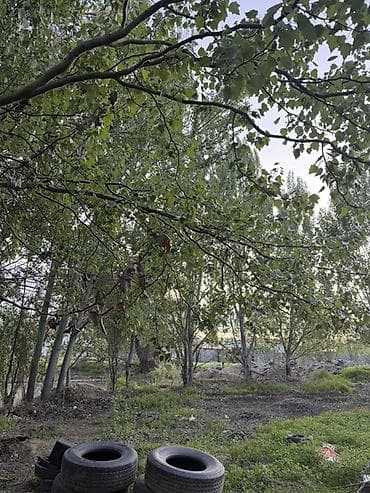 продаю гараж кант: 10 соток, Для строительства — 2