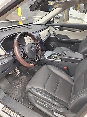 t max: Weltmeister EX5, 2021 г. — 8