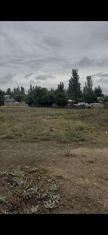 Кыймылсыз мүлк: 17 соток — 3