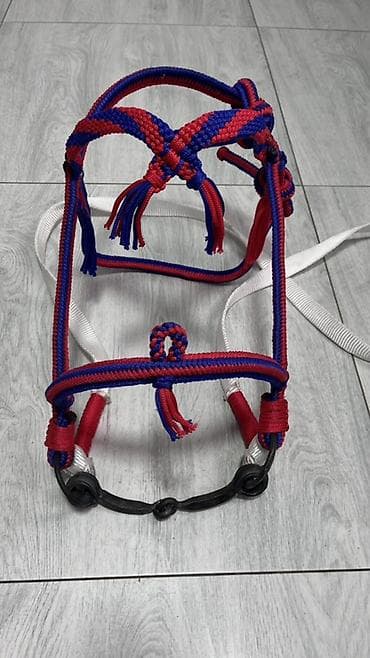 аренда лошадей: Продаю | Жеребец | Конный спорт — 7