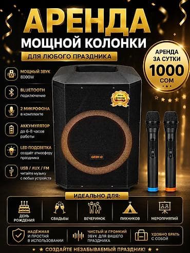ps plus: Аренда мощной акустической колонки для любого праздника. Подходит для — 1
