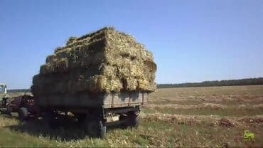 Продаю для с/х животных 1-укос тюки! Разнотравье, остались около 100