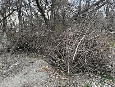 уголок каракол: Дрова Самовывоз — 1