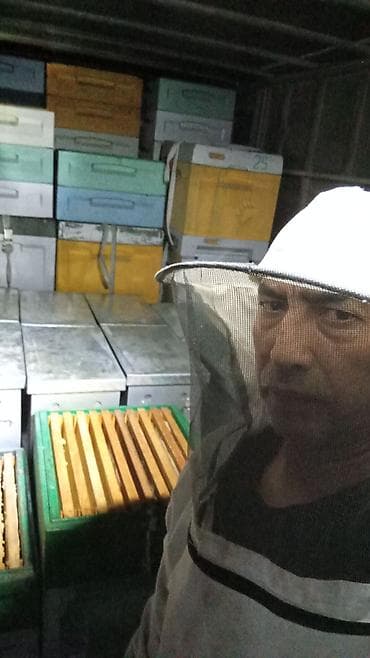 рефрежератор спринтер: Грузовик, Mercedes-Benz, Стандарт, 4 т, Б/у — 7