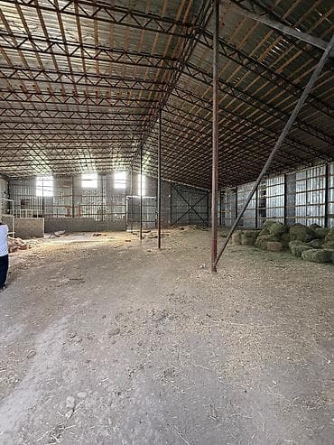 бассен: Ферма КРС, 240 соток, Действующий, Электричество — 6