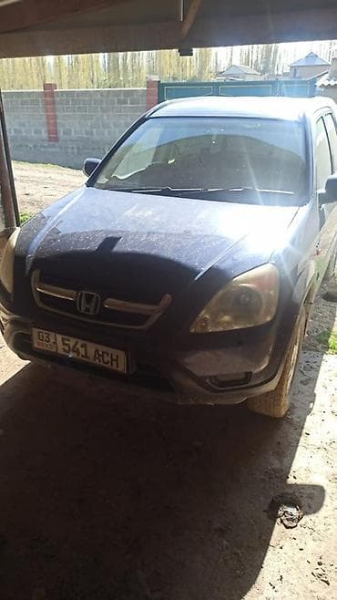 ssangyong rexton 4: Honda CR-V: 2003 г., 2 л, Механика, Бензин, Внедорожник — 7