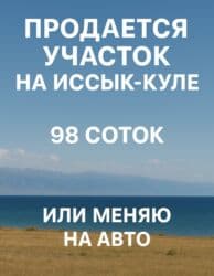 98 соток, Для бизнеса, Договор купли-продажи