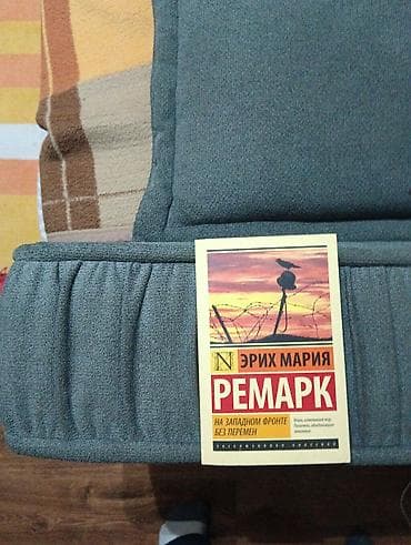 Роман, На русском языке, Б/у, Самовывоз