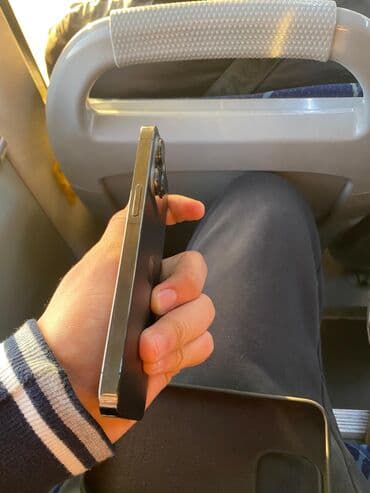 сенсорный мафон: IPhone 13 Pro, Б/у, 256 ГБ, Black Titanium, Чехол, 100 % — 10