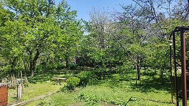 дом село кок джар: 5 соток, Красная книга — 7