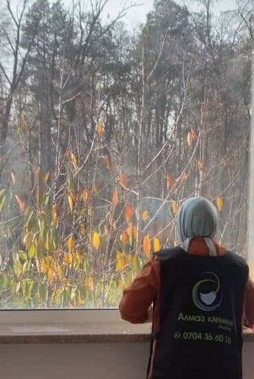 Стирка ковров: Уборка помещений, | Генеральная уборка, Ежедневная уборка, Уборка после ремонта, | Офисы, Квартиры, Дома — 3