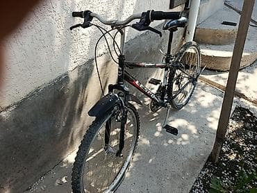 кыргыз тили 1: Тоо велосипеди, Lespo, Болот — 1