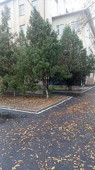 геодез: Благоустройство территорий и дорожные работы Профессиональные работы — 4