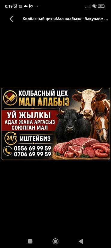 детские торты на заказ: Колбасный цех «Мал алабыз» - Закупка скота: коровы и лошади. - — 1
