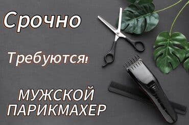 ищу работу парикмахера без опыта работы: Парикмахер Универсал. Процент — 1