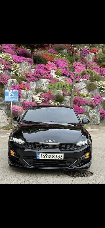 Kia K5: 2022 г., 2 л, Автомат, Газ, Седан