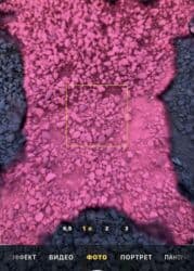 айфон без фейс айди: IPhone 14 Pro, Б/у, 256 ГБ, Золотой, 100 % — 4