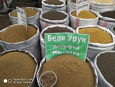 Семена кормовых растений: Люцерна, Самовывоз