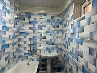 село манас дом: 100 м², 3 комнаты — 5