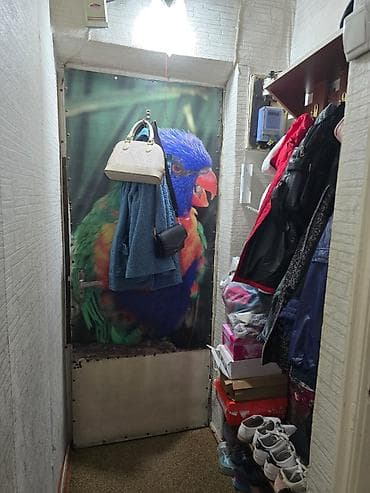 1 bedroom: 1 комната, 28 м², Индивидуалка, 2 этаж, Старый ремонт — 2